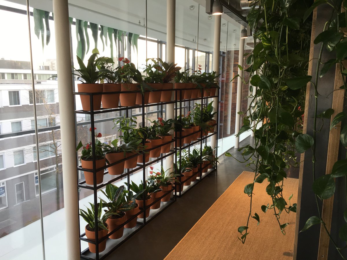 greencareheeze's tweet photo. Weer een bijzonder leuk en mooi project mogen maken in Eindhoven. https://t.co/bk20Ui6ypR
