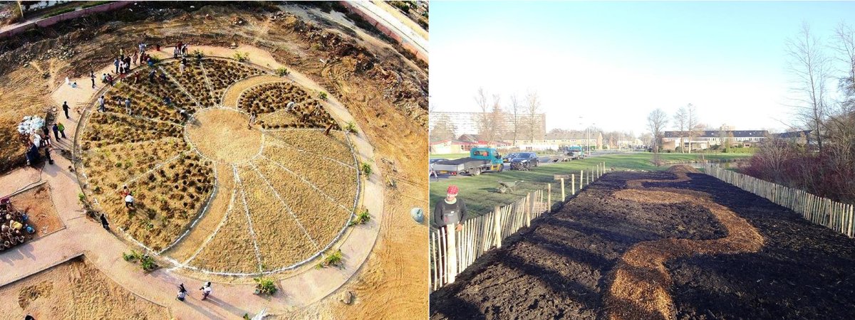 afforestt's tweet photo. Our forest design in Pakistan and Netherlands. Simple..just playing with wood chips and shapes. https://t.co/jlws7fGoez