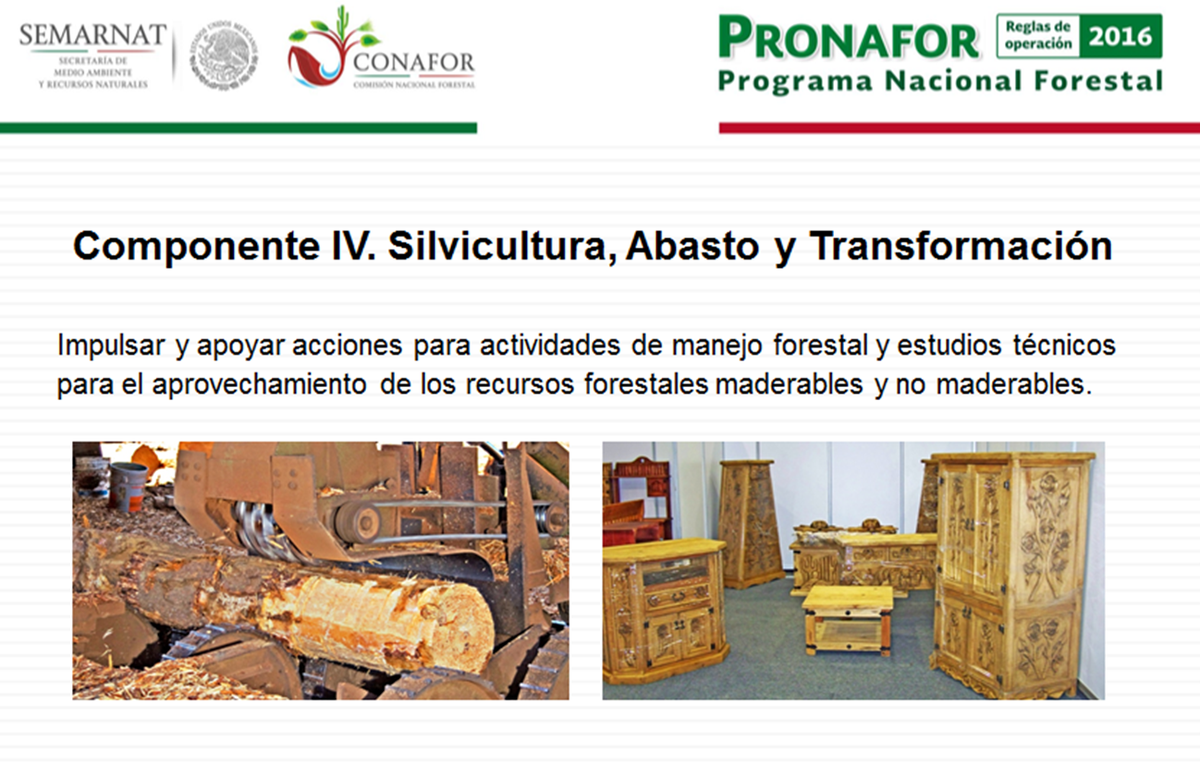 CONAFOR's tweet photo. El Componente IV del #PRONAFOR2016 impulsa y apoya acciones para el manejo y aprovechamiento de recursos forestales. https://t.co/K53GeUlQxN