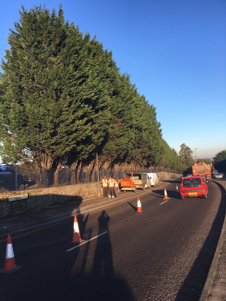 TreeandCounty's tweet photo. Finished reducing 60x Leylandii at @Airbus with @GroundControlGC completed in 3 days! Great effort guys👍 #arbwork https://t.co/CC9aPviPCY