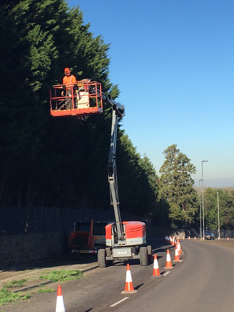 TreeandCounty's tweet photo. Finished reducing 60x Leylandii at @Airbus with @GroundControlGC completed in 3 days! Great effort guys👍 #arbwork https://t.co/CC9aPviPCY