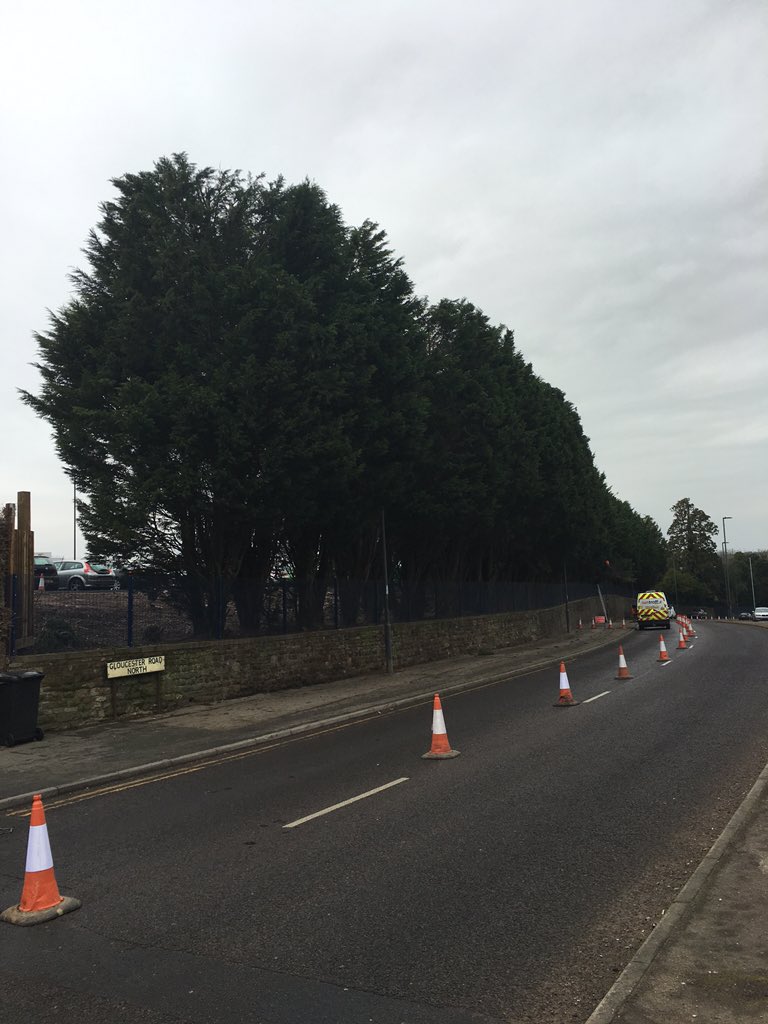 TreeandCounty's tweet photo. Finished reducing 60x Leylandii at @Airbus with @GroundControlGC completed in 3 days! Great effort guys👍 #arbwork https://t.co/CC9aPviPCY