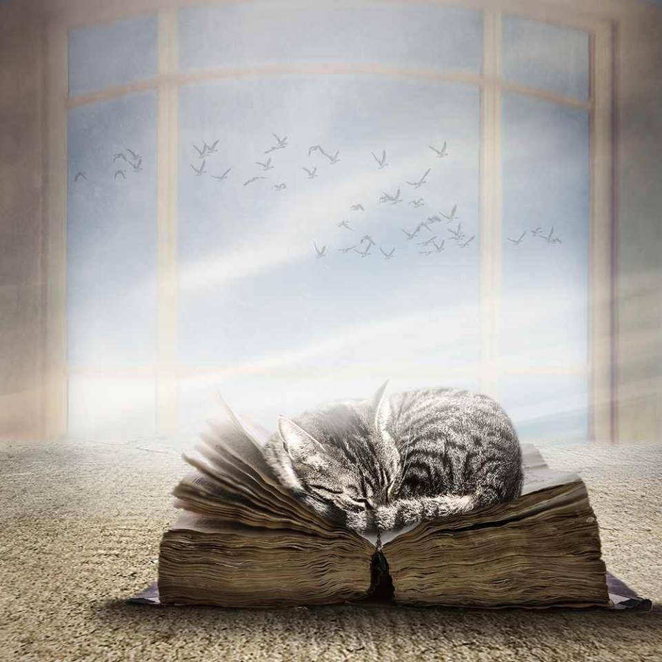 U might not write well everyDay, but u can always edit a #badPage
U can't edit a #blankPage
Picoult
#writing 
Ellger