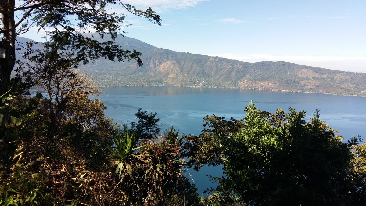 SOLUAGROgt's tweet photo. Visiting the coffee plantations in #lagoCoatepeque. Altitude coffee near the Caldera. Coffees shipped in #Ecotact https://t.co/fwdI9PESNp