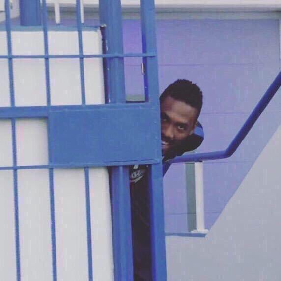 blluF's tweet image. 