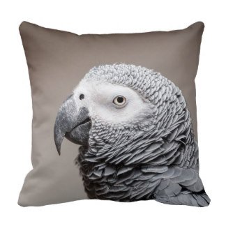 andykart31's tweet photo. I have a selection of #cushions #pillows available on zazzle
https://t.co/khLfPV0Pay
#dog #parrot# robin https://t.co/p1jkyYXXuS