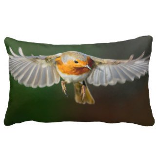 andykart31's tweet photo. I have a selection of #cushions #pillows available on zazzle
https://t.co/khLfPV0Pay
#dog #parrot# robin https://t.co/p1jkyYXXuS
