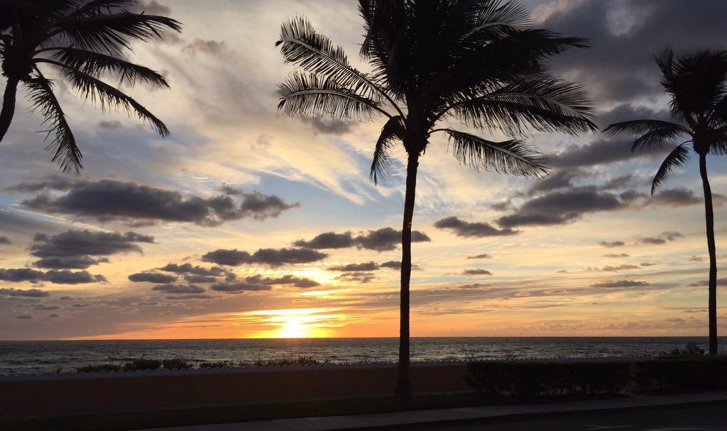 Beautiful sunrises are always a reminder that it's another beautiful day #PalmBeach  #MuchNeededMotivation 🌅🌴