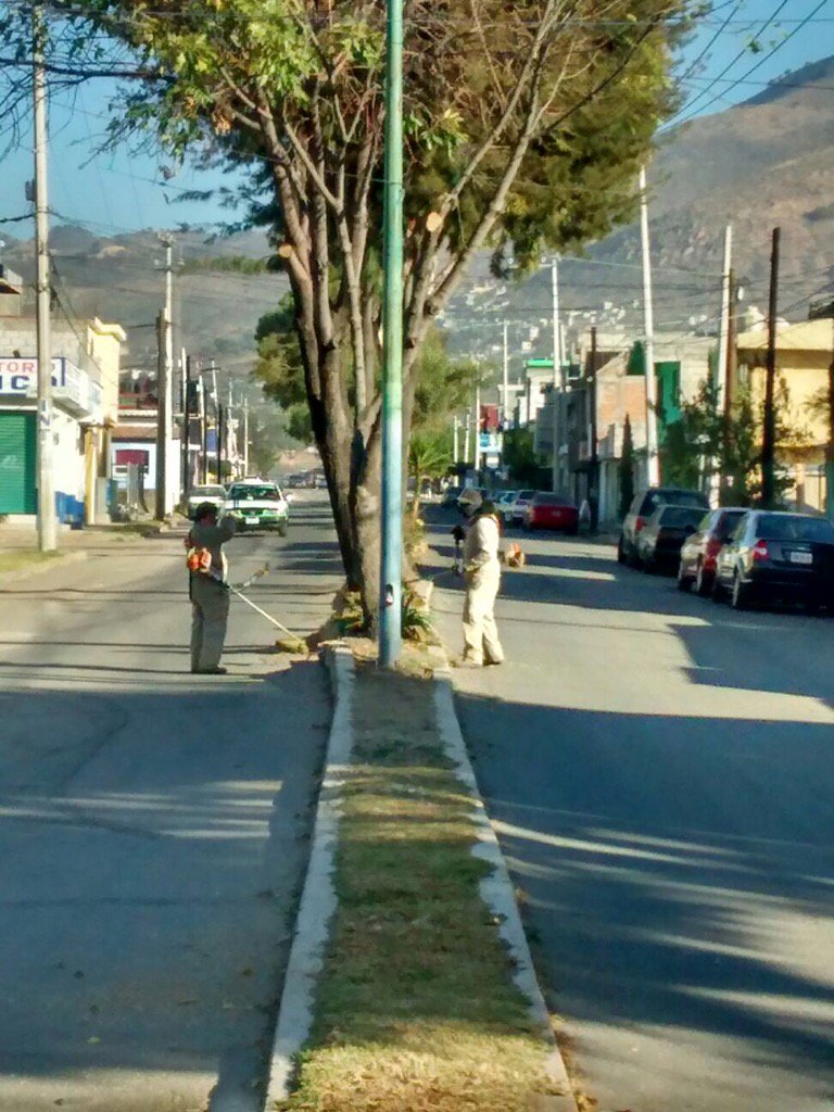 Mantenimiento a camellón central de Av. 8 Plutarco Elías Calles #CuidandoNuestroEntorno @Pachuca_