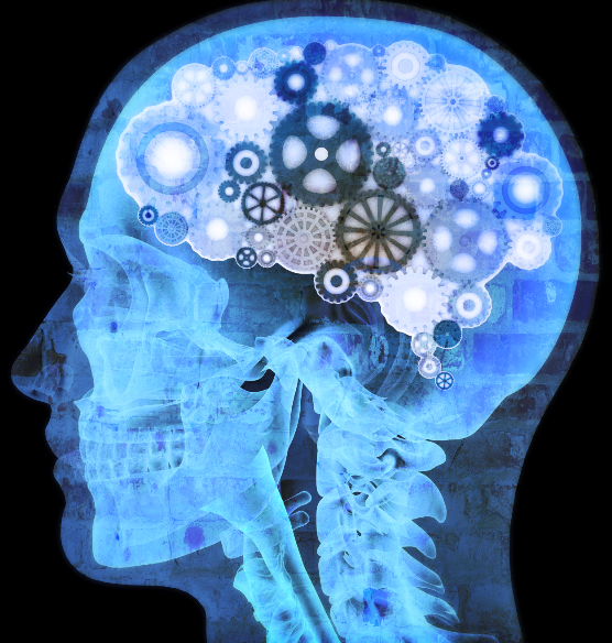 MindWellU's tweet photo. Way to go @UrtheCastCrew! You've banked 800+ #Take5 practices... that's a lot of brain rewiring! #urthecast30day https://t.co/dlXvIhdxtx