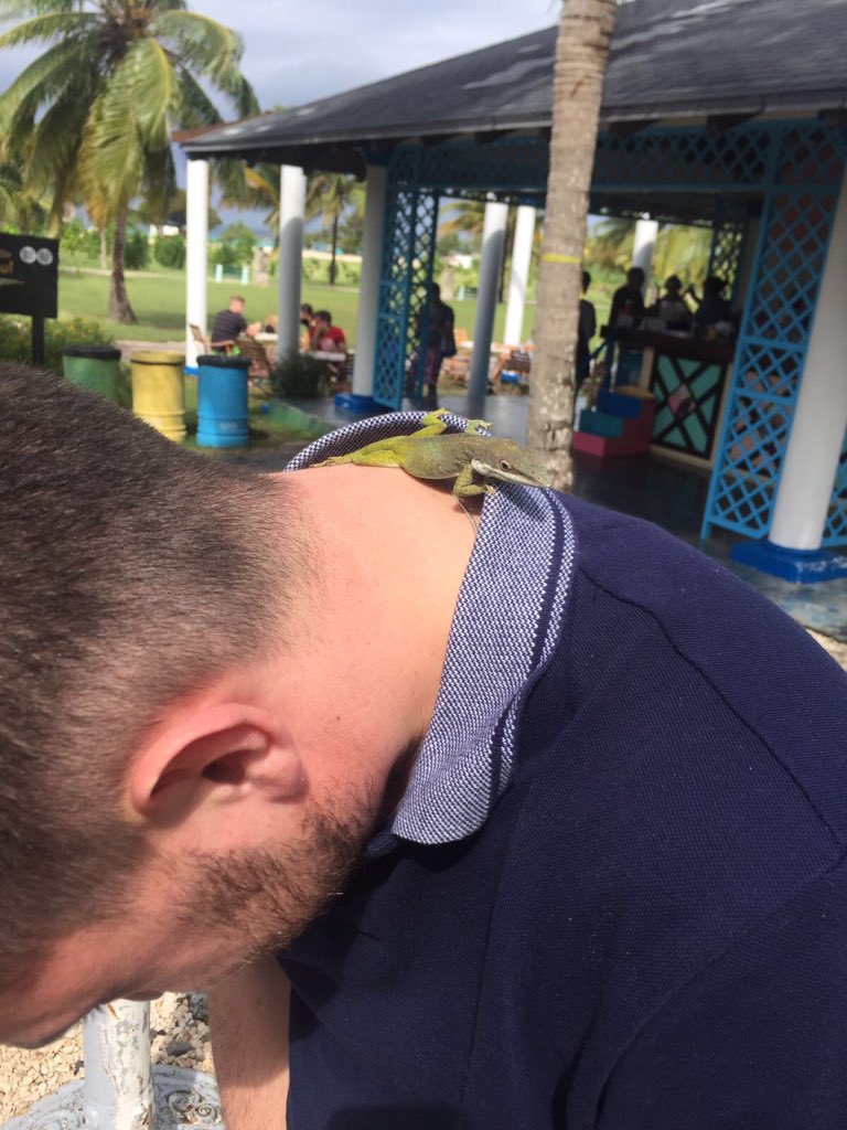 JackfullickJack's tweet photo. Me with the local wildlife in Cuba https://t.co/MssgPMjLiH