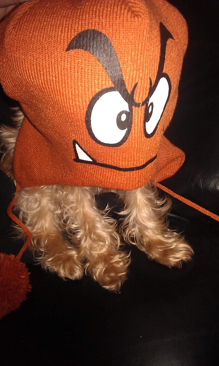 MelChoupss's tweet photo. 3 years ago #Goompa https://t.co/dDV7zcvmfu