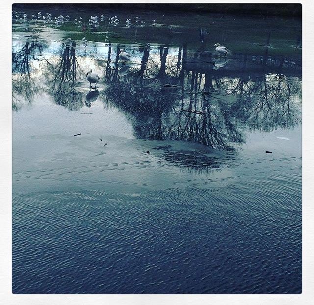 showingbusiness's tweet photo. A super frosty day today ❄️ Are you wishing winter goodbye? https://t.co/h1BjvFzmsn https://t.co/bhfrOmQl6K