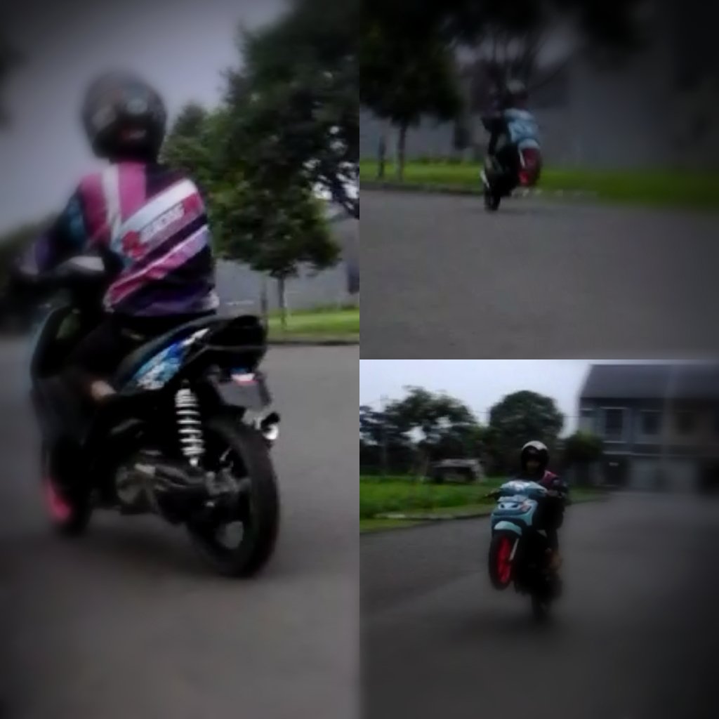 Newbie qaqa