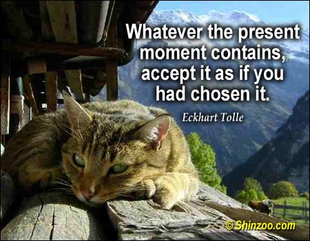 _MindFeed's tweet image. 