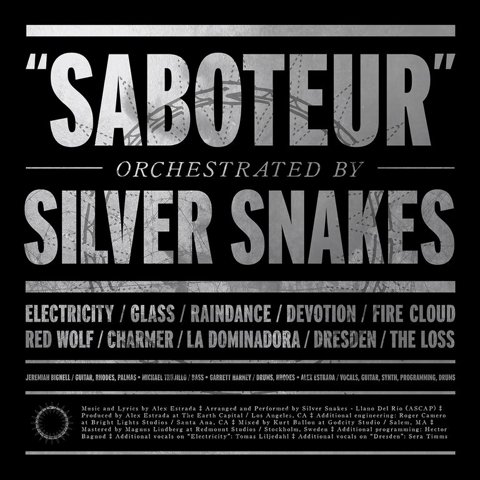 Musicholics4U's tweet photo. An interview with @Silver_Snakes Alex Estrada https://t.co/ijqyhA36ZO https://t.co/gHTlzWiYYi