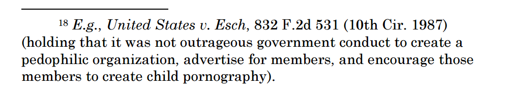 bradheath's tweet photo. Federal courts have given the government wide latitude to break the law in pursuit of criminals. From a #DOJ brief: https://t.co/pZ8WiNtqJm