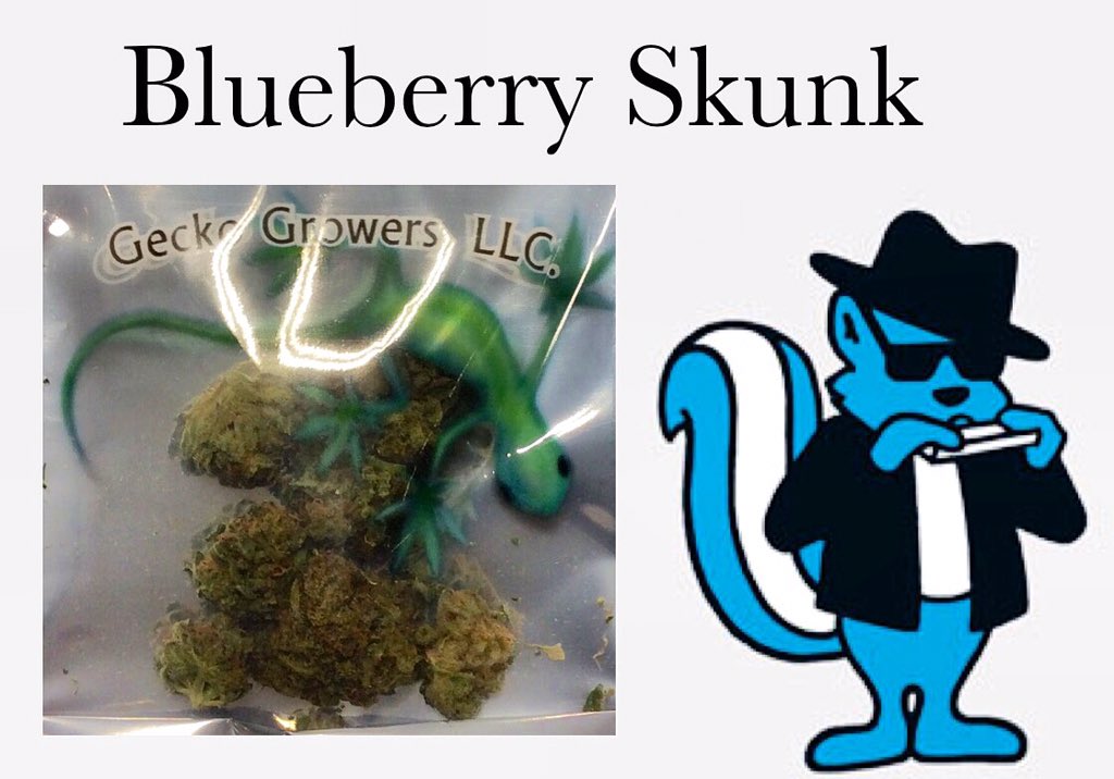 This amazing strain is only $8 per gram <a href="/420_westside/">Westside 420</a> #legalweed #i502 #recreationalmarijuana #buds #weed