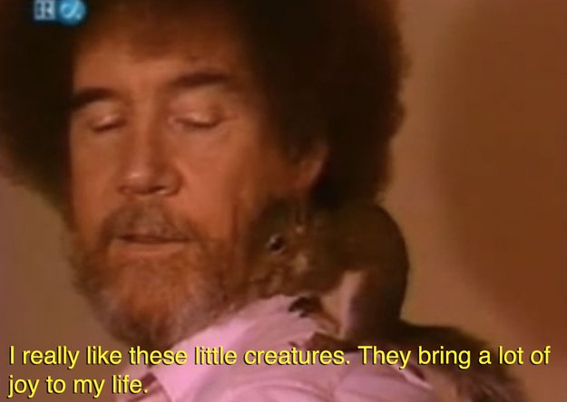 playrific's tweet photo. It's also #SquirrelAppreciationDay! Have a pictured of beloved painter @BobRoss with a furry friend. https://t.co/xO53BZsMFm