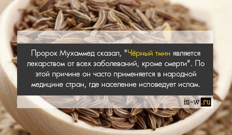 Тмин польза и вред для организма. Черный тмин интересные факты. тмин польза и вред.