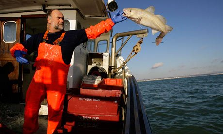 Maintainco tweet media