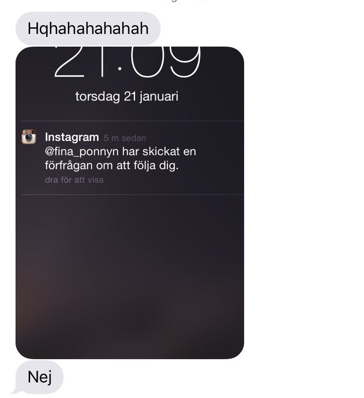 Ingvarssonn's tweet photo. När man i smyg började följa ett hästkonto från pojkvännens IG och han genast kommer med i ponnygänget https://t.co/dKNsXFDQ90