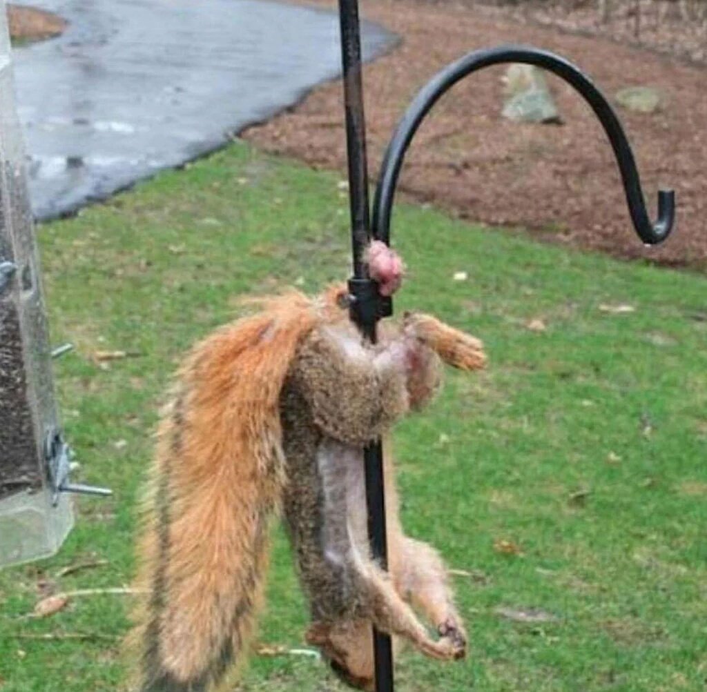 comictweetfr's tweet photo. Quand t'as pas de chance dans la vie 😂 https://t.co/EaQiMoDNPb