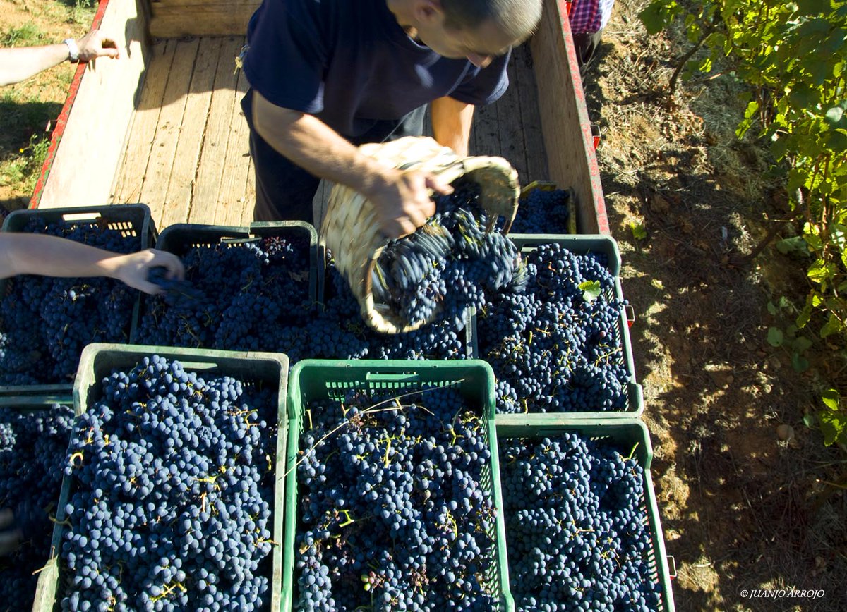 FOTOARROJO's tweet photo. #AsturiasEnFITUR Cangas del Narcea.......VINOS DE CANGAS https://t.co/ncKsdQj7so