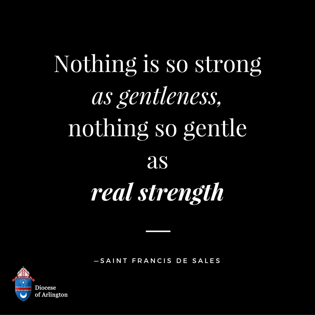 arlingtonchurch's tweet photo. Happy #Feast of Saint Francis de Sales! Patron saint of journalists, #prayfous! https://t.co/JgBywjYjBK