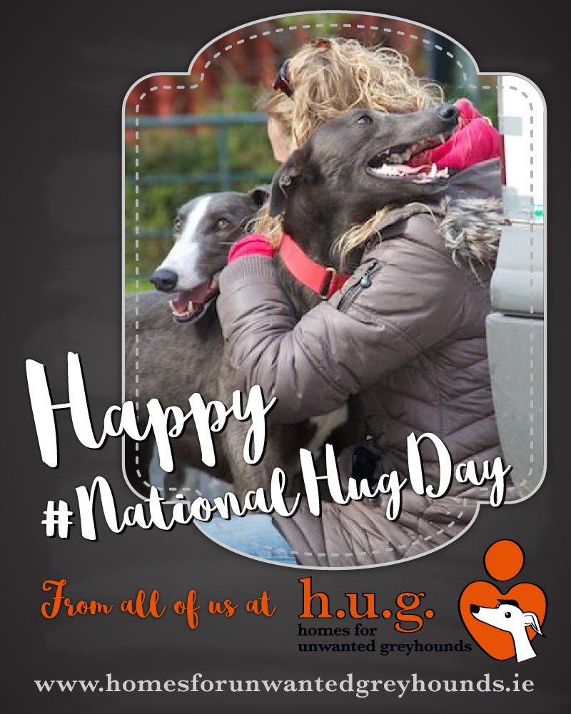 We couldn't let #NationalHugDay pass by without a greyhound hug of our own! homesforunwantedgreyhounds.ie #IrishGreyhounds