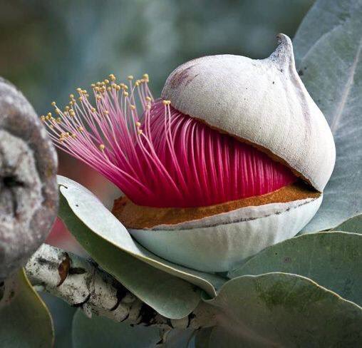Evidentiary 🐨🐨 tweet media