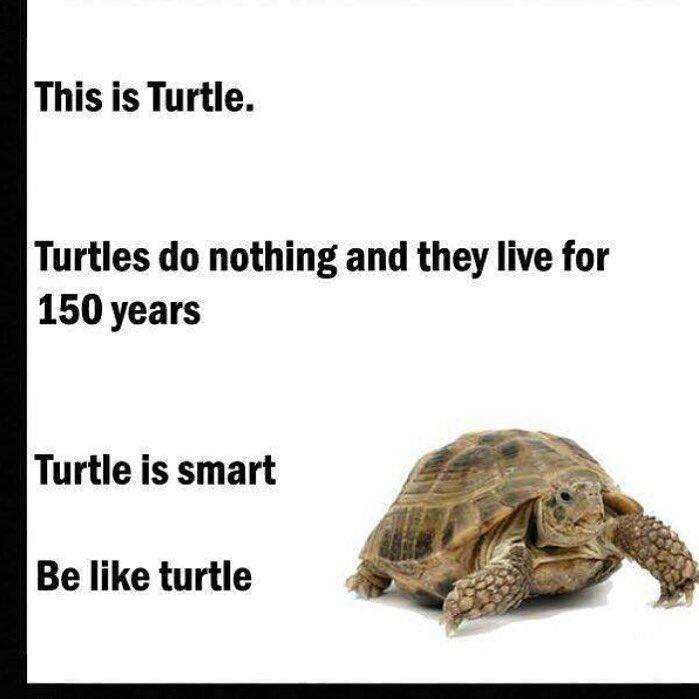 [Obrazek: CZRp1O4WAAAYkYO.jpg]