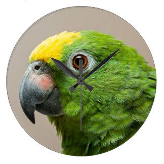 andykart31's tweet photo. Keep an eye on the time with a personalised clock.
https://t.co/gKER0TSFac
#amazonparrot #4x4 #robin https://t.co/zOtO2lcZa5