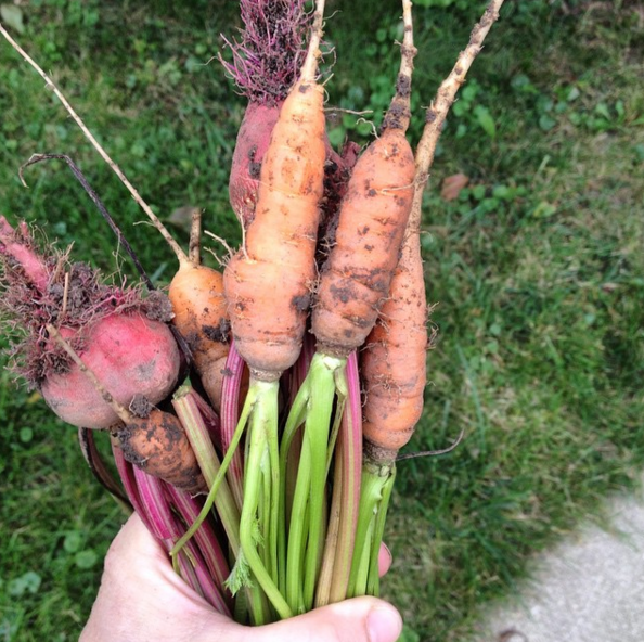 #tbt to when it wasn't winter and we could pick fresh from the garden!