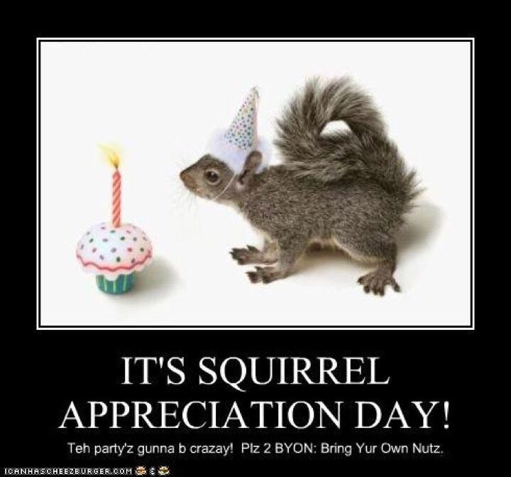 LisMU5's tweet photo. @SquirrelsMU https://t.co/aOyxfspref
