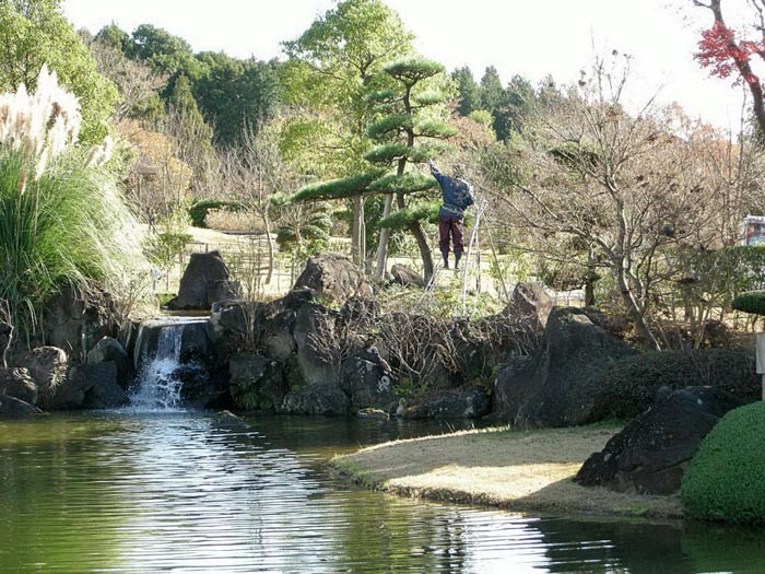 Koi Haus Bayern On Twitter Https T Co Yfnnpsaxd1