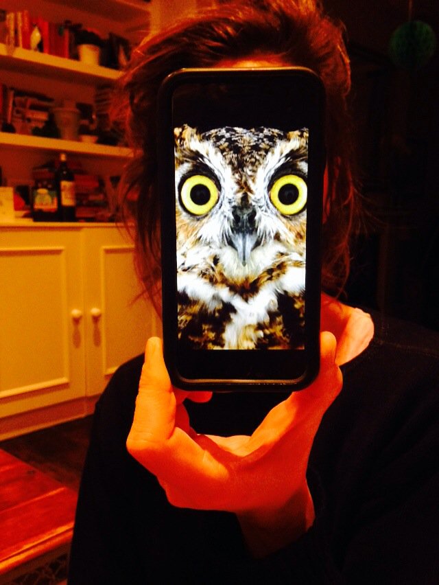 HitMeUpApp's tweet photo. #OwlSelfie @SanitaryOwl https://t.co/uI5xHoeiqs