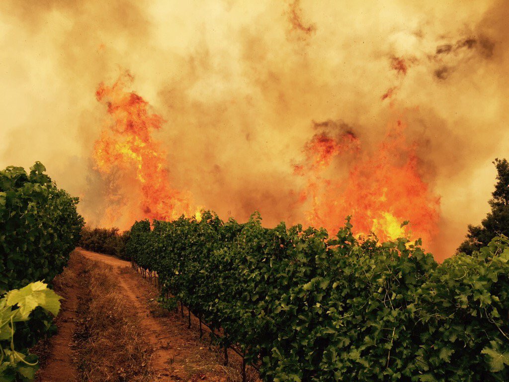 hamboneZA's tweet photo. Love this pic of natures force in #SimonsbergFires this past week. Firefighters: salute to you lads and lasses! https://t.co/jmYwN8bmb6