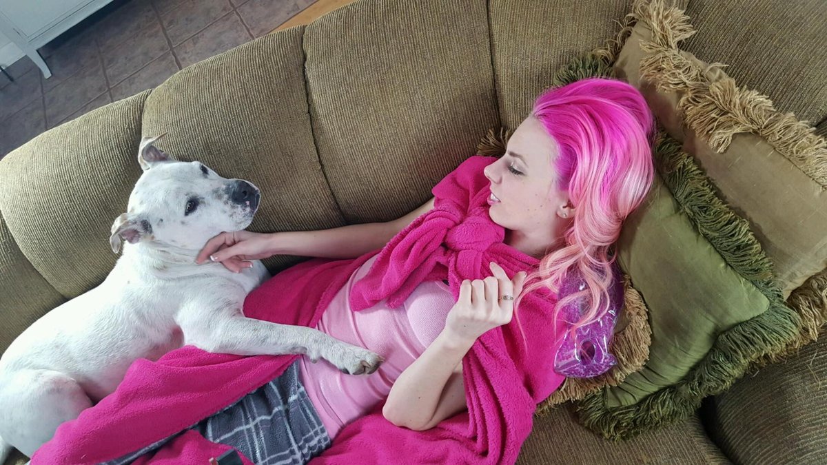 sarahdionna's tweet photo. #filming #onset #supermissionuniverse #superuniverses #pinkhair #pitbull https://t.co/dbpkZm0dOZ