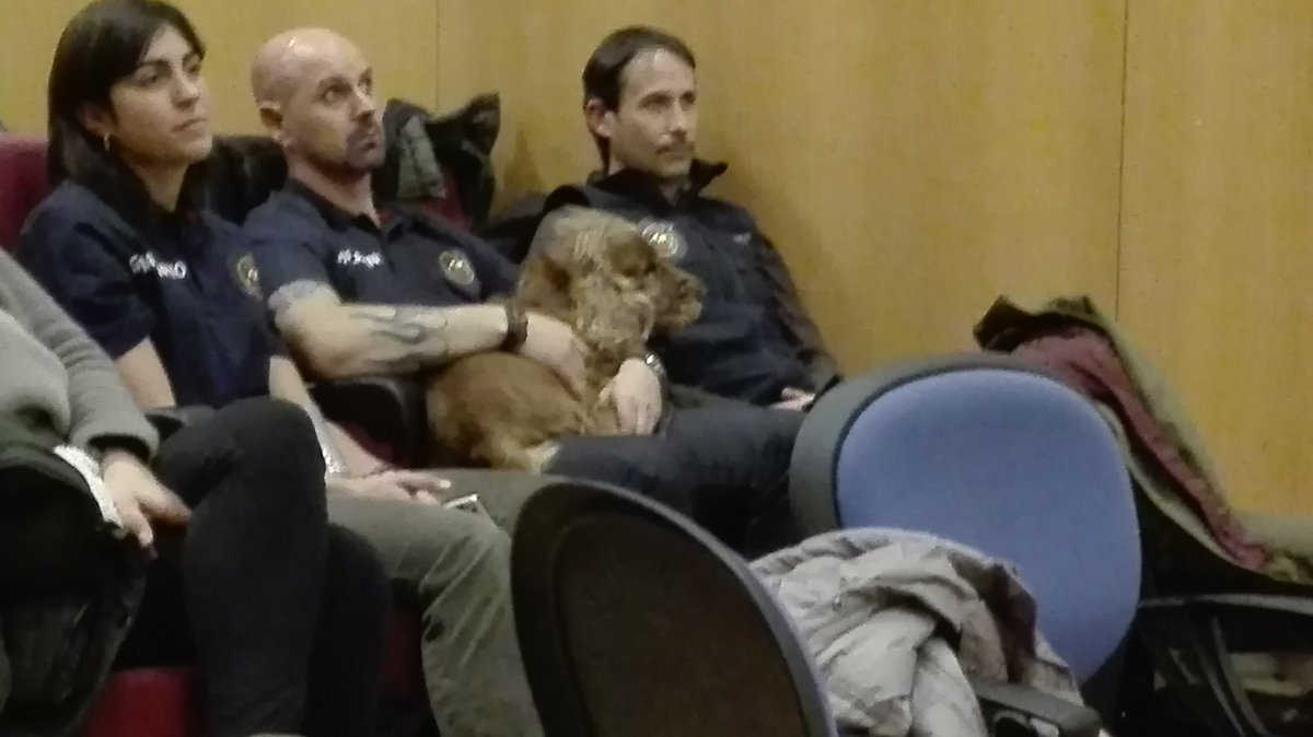 <a href="/ucr_esp/">UCR España</a> de relax después de su participación en la conferencia de esta tarde en la URJC. Atraves de #animalesurjc