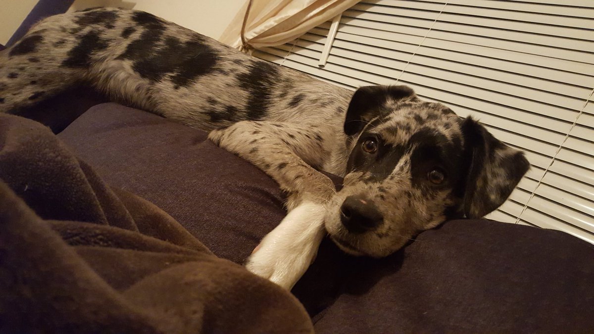 jequav's tweet image. Spending nights with my best friend!!