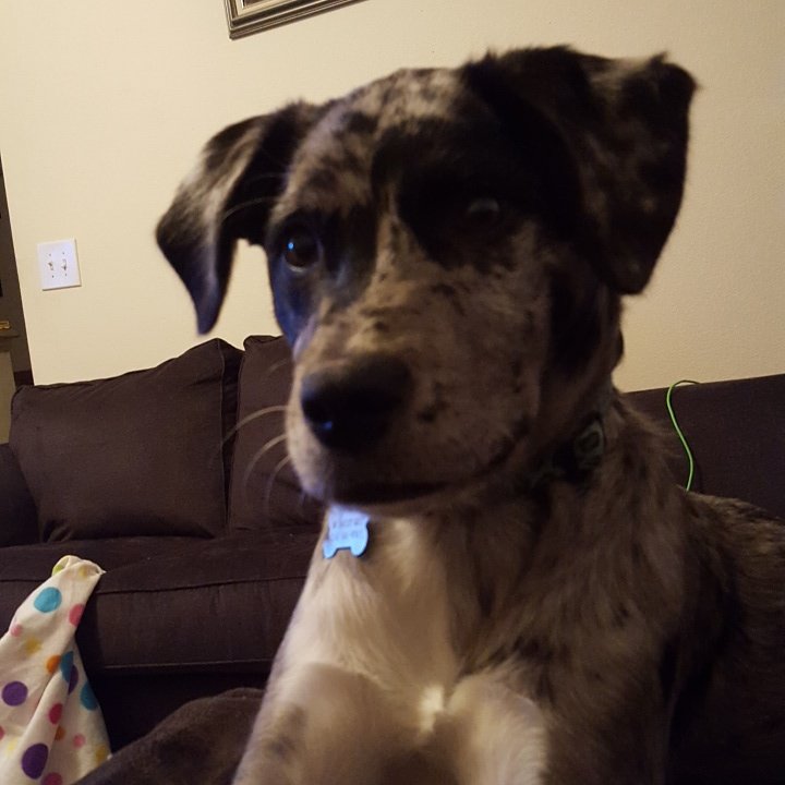 jequav's tweet image. Spending nights with my best friend!!