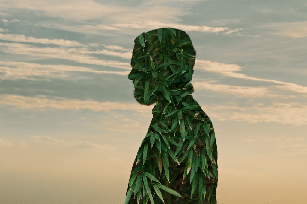 austin_leih's tweet image. let's have a photo session!
book me for your senior portraits at austinleih@gmail.com