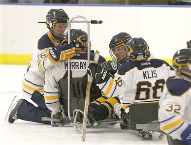 milesformatty's tweet photo. #TBT for #NationalHugDay to @matt_murray44 final #SledHockey game, winning the national championship! #RetiredOnTop https://t.co/4SNUxKWaNg