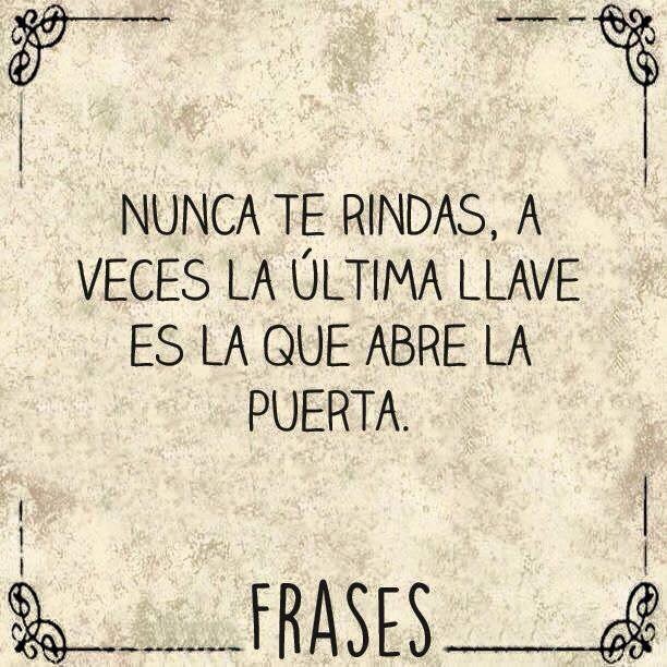 ALEJANDROO81's tweet image. Asi sera, vamos a picar piedra hasta que un dia encontremos entre las piedras los diamantes #AKSYSTEMS