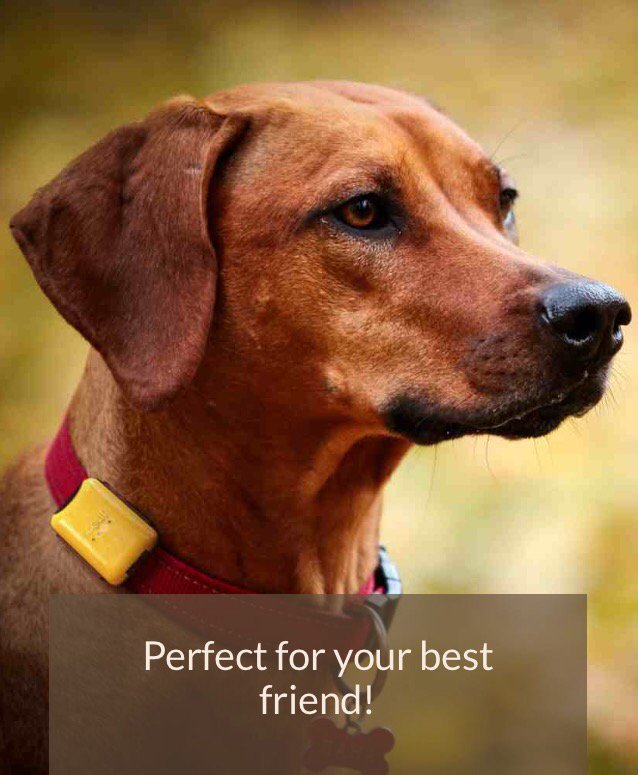 findmyscout's tweet photo. Use your #iPhone or #Android device to set up Safe Zones.
#scoutapp #App #Gps
https://t.co/ggzhYMiSCX https://t.co/i3JpsIZIsv