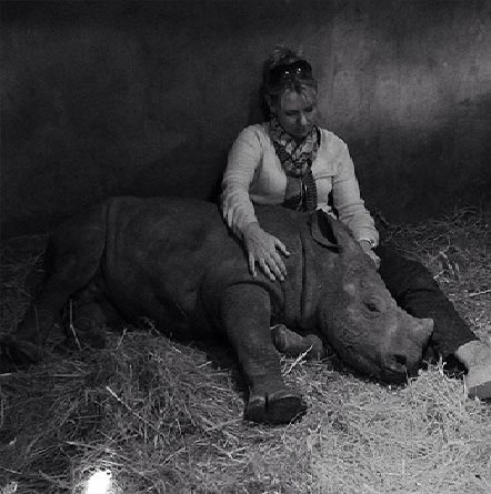 Protect_Wldlife's tweet photo. Sleep tight little ones and a MASSIVE thank you to your committed carers!!! #Heroes  @RickyGervais https://t.co/4KIZBNqCW3
