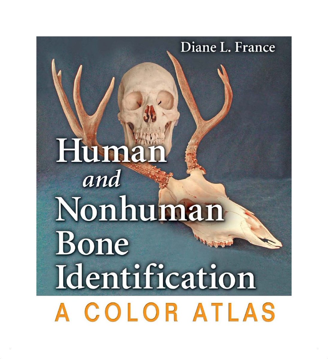 Qafzeh's tweet photo. Human and Non-Human Bone Identification ~ A Color Atlas -  by Diane L. France https://t.co/ccxbZ1bmUB https://t.co/D9KYxgdfYV