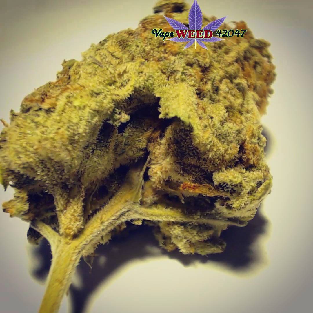 vapeweed42047's tweet photo. #PurpleArrow Weed Half Nug $$$ Shot (angle 3)
#Strain #Topshelf #Weed #Marijuana #Cannabis #Pot #Hemp #Marijuana https://t.co/H6qVuRXjzG