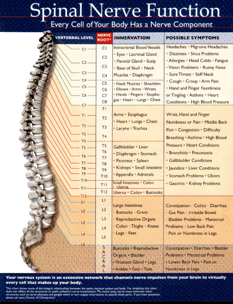 TinasBodyBiz's tweet photo. Do you want to reduce your pain from Injuries?
https://t.co/NLfwG6mihx https://t.co/7xzPseAQh7